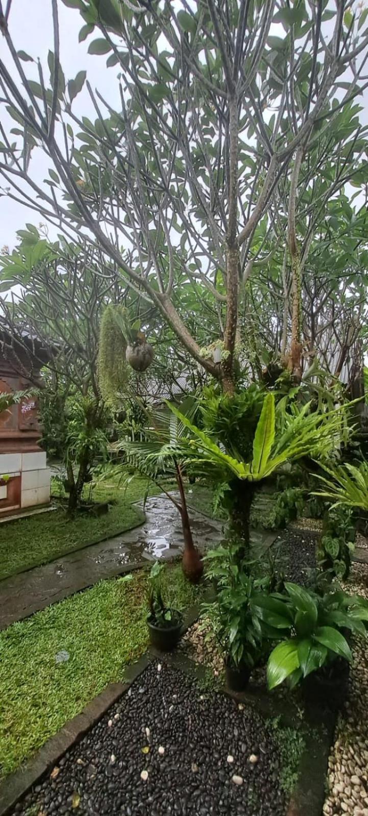 Serongga * Lebih